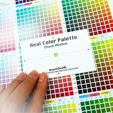 Real COLOR Palette リアルカラーパレット 印刷 カラーチャート 色見本 DIC